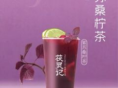 -鹏欣水游城