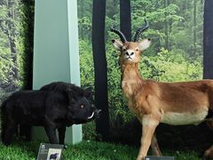 -房山世界地质公园博物馆