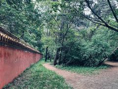 -北陵公园