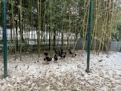 -宣武艺园