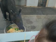 -合肥野生动物园