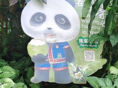 -海南热带野生动植物园