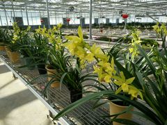 -天源吉布世温泉水乐园