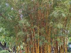 -晓港公园