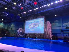 -华夏文旅西安度假区