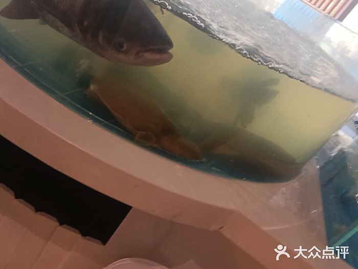 渔歌子鱼头王(郑州总店)图片