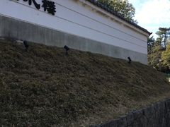 -料亭菊水楼
