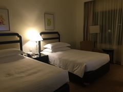 -新加坡乌节希尔顿酒店 (SG Clean)