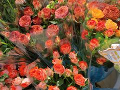 -循礼门鲜花花市(武汉循礼门店)