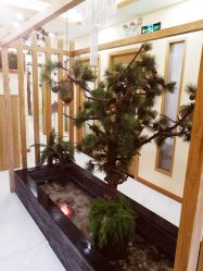 点击看大图 大堂-芳朵美容养生SPA