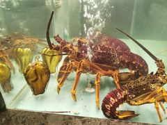 -甄御•海鲜新青岛菜(麦岛店)