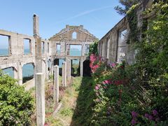 -阿尔卡特拉斯岛