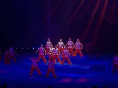 -珠海横琴长隆《卡卡虎奇遇记》