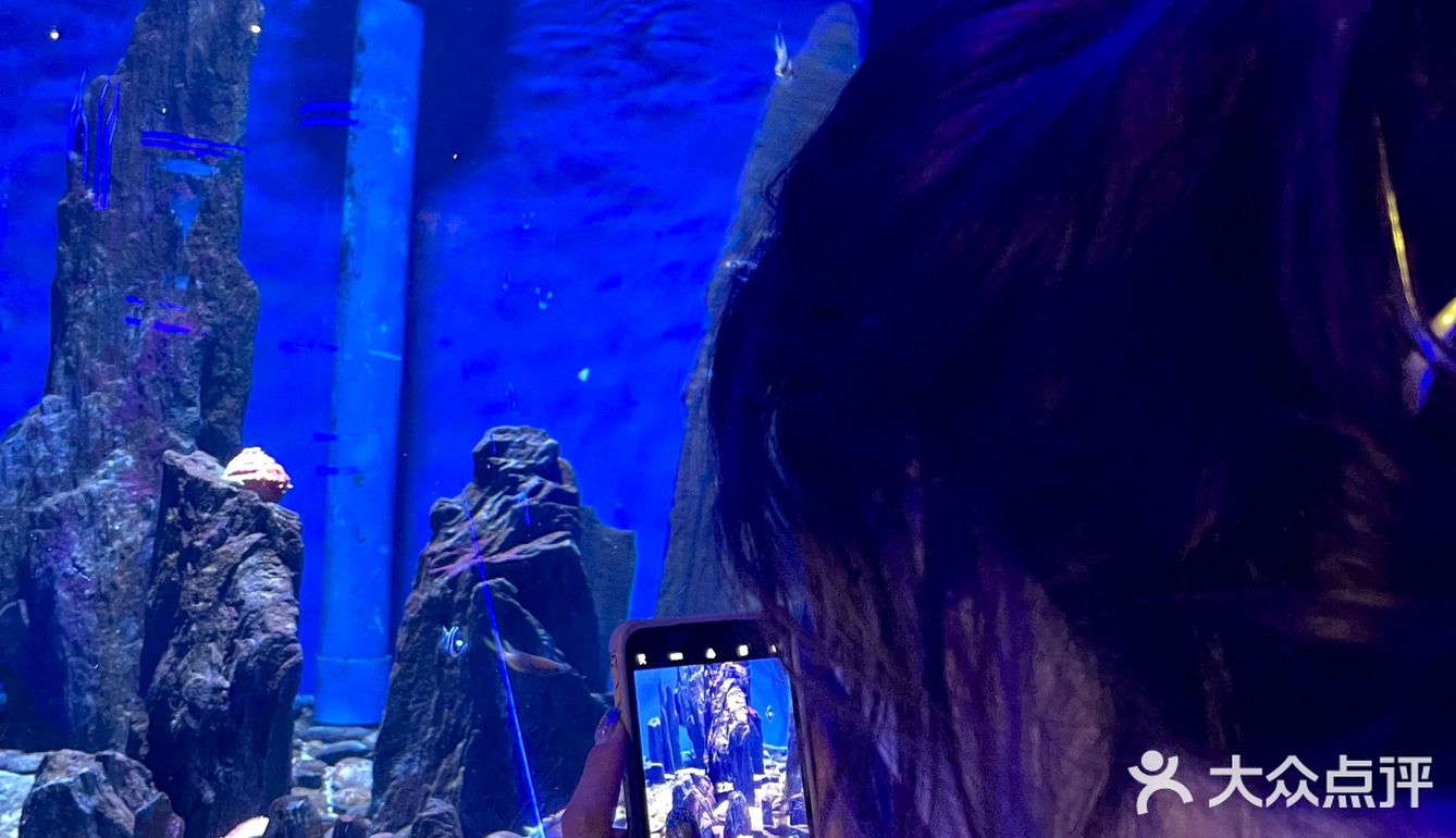 和美人鱼一起潜水啦