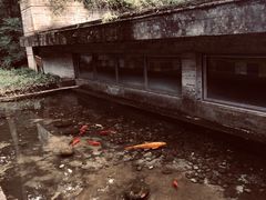 -鹿野苑石刻艺术博物馆