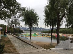 水上娱乐-青龙湖公园