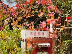 -潭柘寺景区