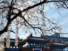 -荣国府
