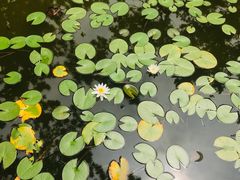 -林海公园