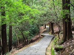 -大屏嶂森林公园