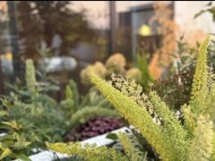 -漪龙台·B26 Rooftop Lounge