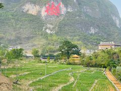 -长寿村