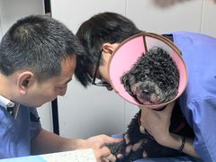 -半岛宠物医院24小时(科华中路店)