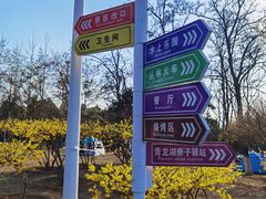 -青龙湖公园