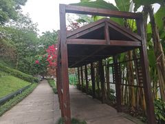 -重庆彩云湖湿地公园