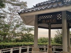 -广州国际生物岛山地公园揽胜园