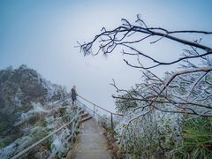 -金子山原生态旅游风景区