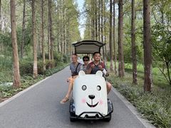 -昆山城市生态森林公园