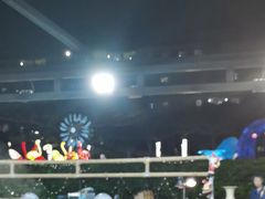 -渔家火锅·海鲜自助餐·演艺(亚龙湾天域酒店)