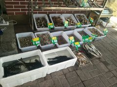 -兴隆海鲜菜馆