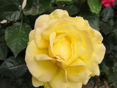 -大桥道糕点食品店(津塘路店)