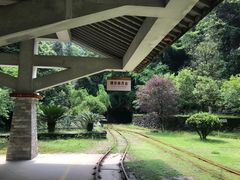 -遂昌金矿国家矿山公园