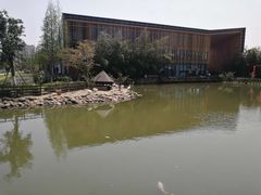 -田园东方蜜桃村的田野营地