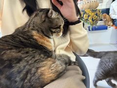 -平行世界·猫咖(首经贸店)