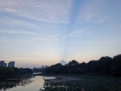 -新江湾城公园