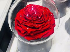 -ROSEONLY诺誓(国际广场购物中心店)