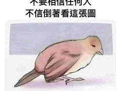 -DQ·蛋糕·冰淇淋(合生汇店)
