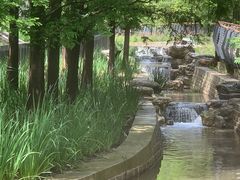 -白水寺森林公园