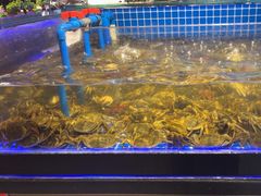 -锅儿欢海鲜火锅烤肉自助餐(东港凯虹店)