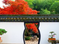 -上海醉白池公园