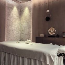 -VELEE·SPA高定疗愈会所