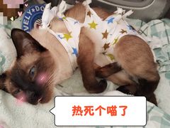 -萌兽医馆·绝育·24小时内科·宠物医院(德胜店)
