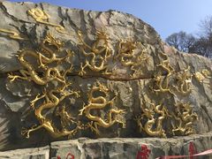 -少华山国家森林公园