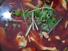 冷锅鱼-重庆特色冷锅鱼(武大店)