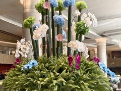 -杭州君悦酒店
