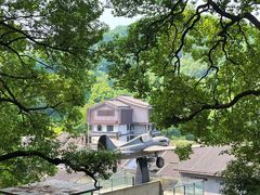 -南山植物园
